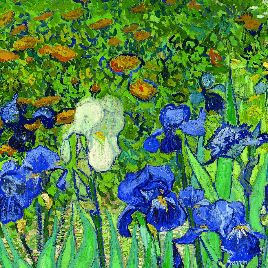 Irises Framed Canvas Replica Painting: Grande