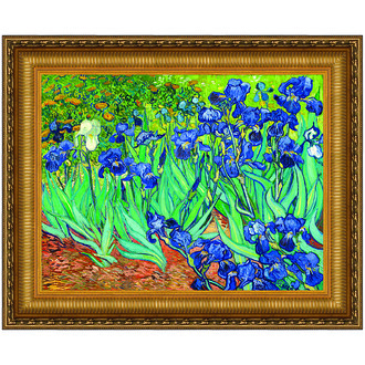 Irises Framed Canvas Replica Painting: Grande