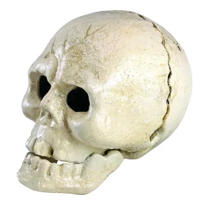 Pop Your Top Skeleton Skull Cast Iron Bottle Opener